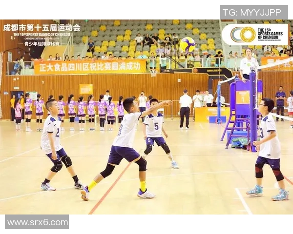 专业解读：成都排球队的节奏打法