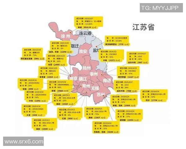 南京排球队的节奏解析与发展趋势探讨 南京排球队的节奏解析与发展趋势探讨